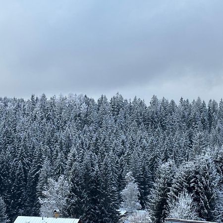 Penzion Verde Rosa Harrachov Εξωτερικό φωτογραφία