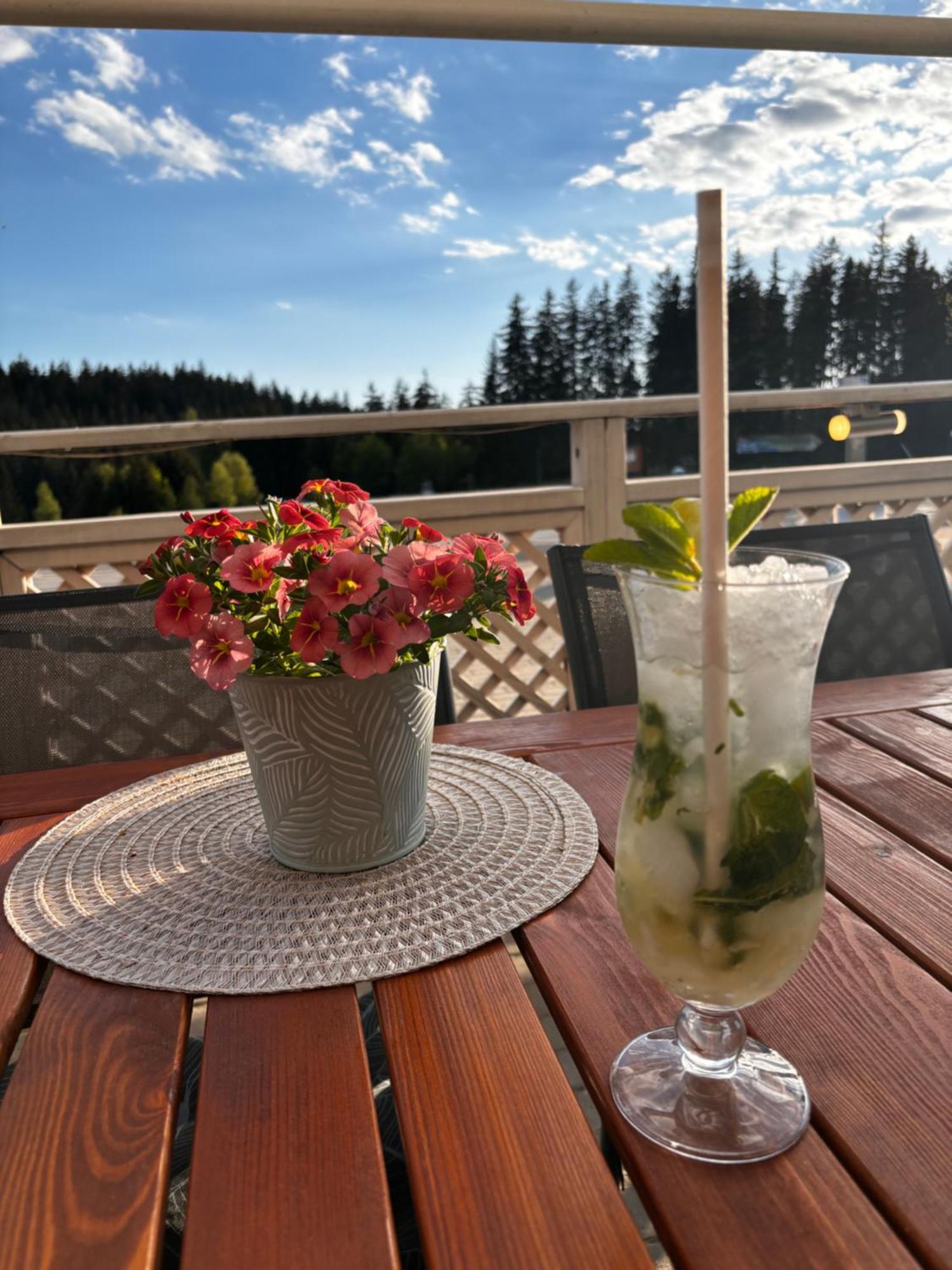 Penzion Verde Rosa Harrachov Εξωτερικό φωτογραφία