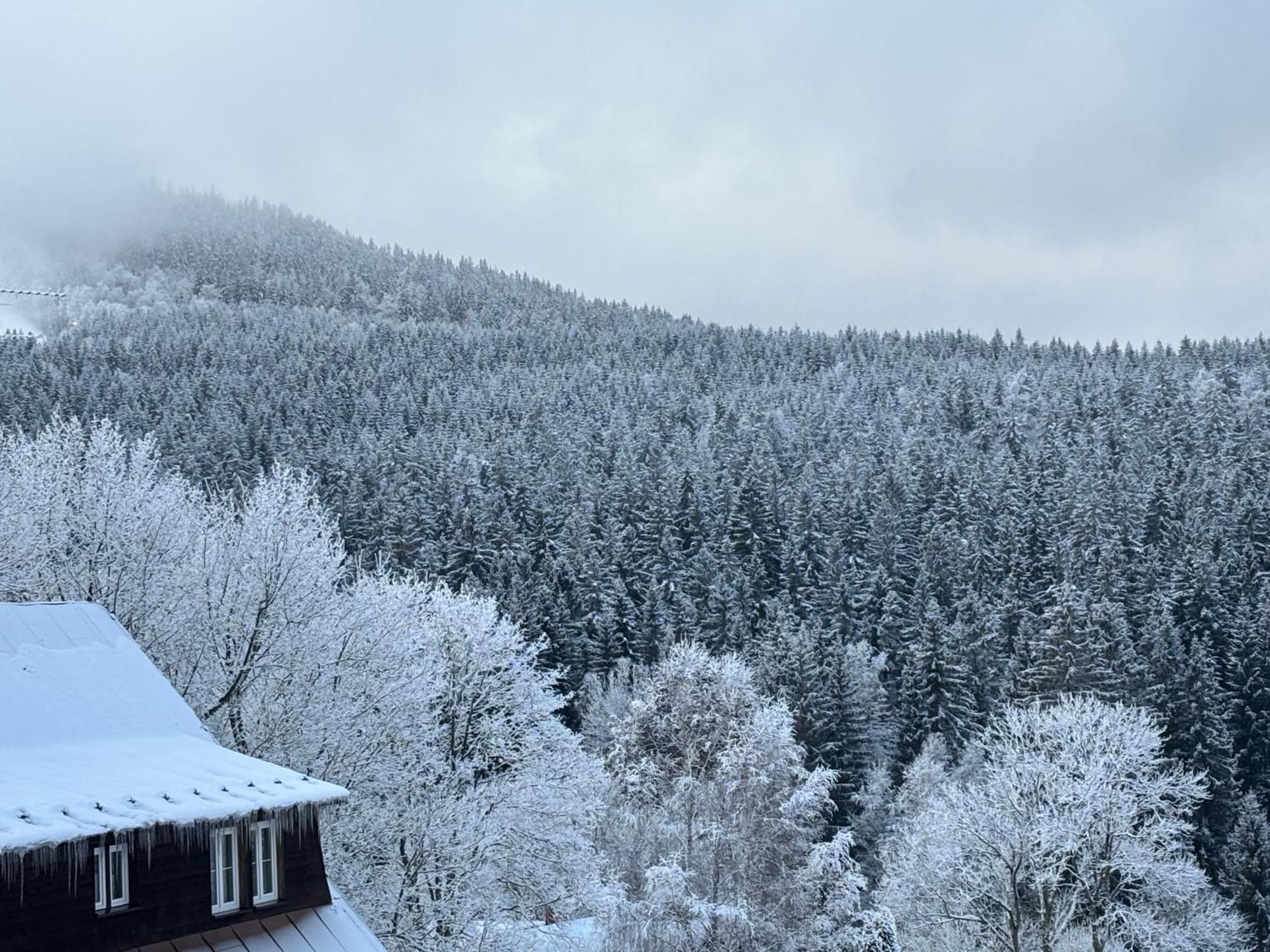 Penzion Verde Rosa Harrachov Εξωτερικό φωτογραφία